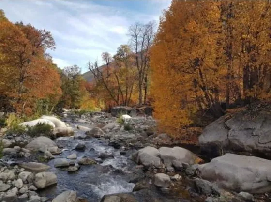 Se Vende Fundo 7860 Hás En Colbún, Región Del Maule