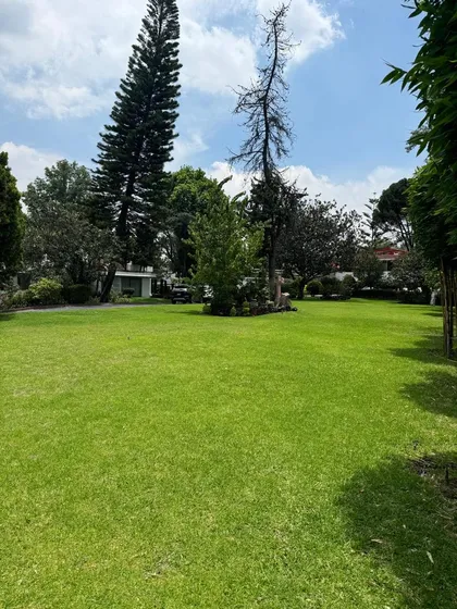 Magnifico Terreno