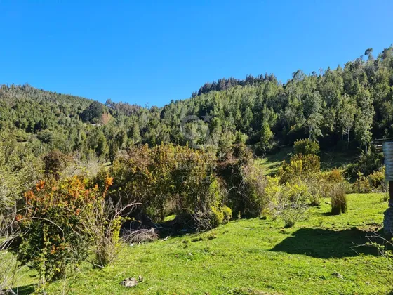 Lindísimo Campo De 35 Hectáreas Al Lado Del Rio Llico