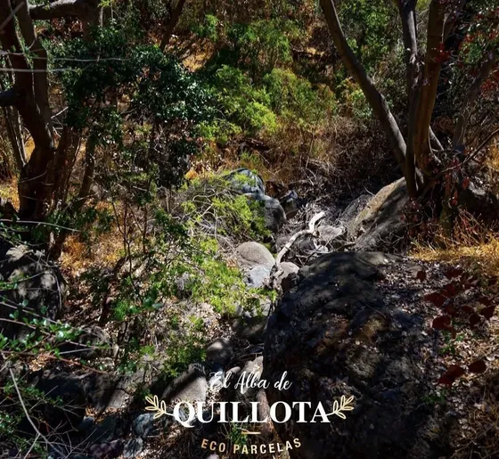 El Alba De Quillota Vive La Naturaleza Construye Tu Futuro