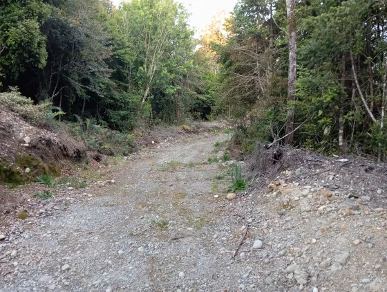 Parcela 5000nts2, Ubicado En Calbuco 