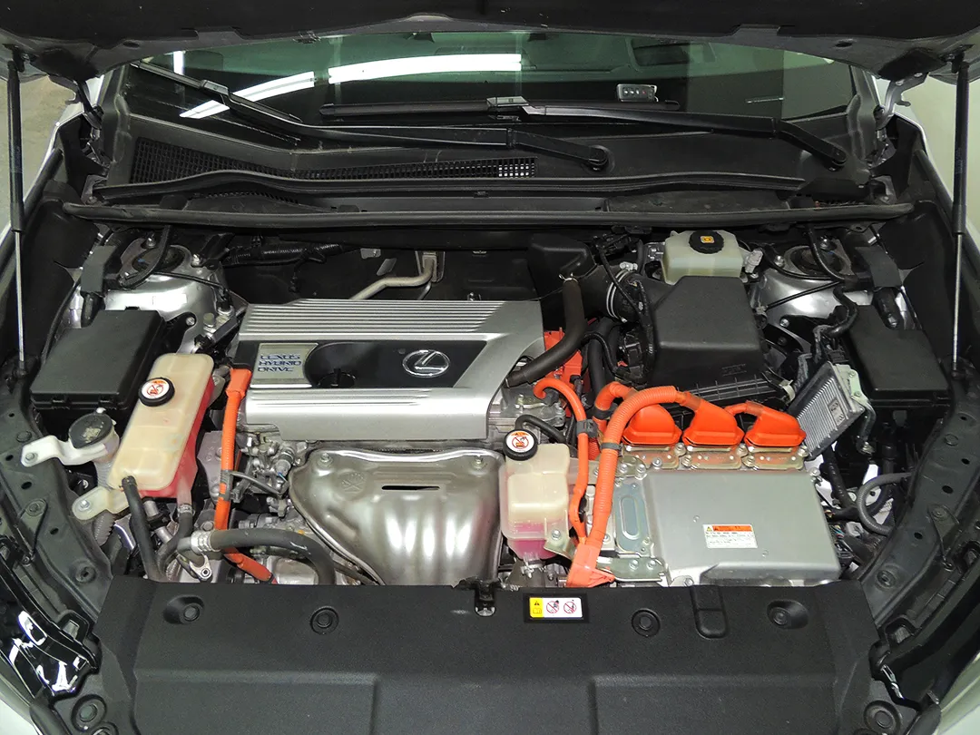 Miniatura 9
