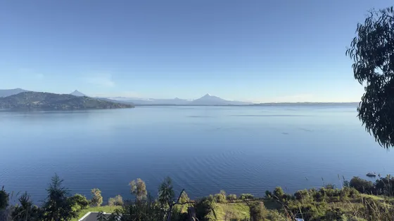 Vendo Campo Con Playa Y Vista Al Lago Puyehue, 5,4 Hectáreas