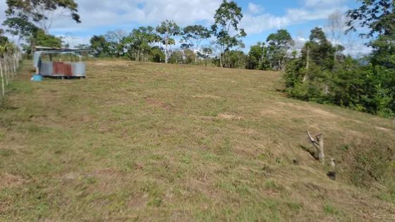 Vendo Terreno Barato El Alto De Chucuyo Tucurrique 