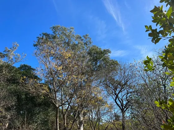 Se Vende Campo 19ha En Unquillo A 400m De La Ruta