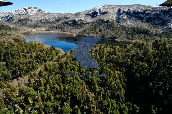 Campo De 917 Hectáreas En Cochamo