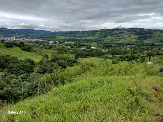 Vendo Finca Ganadera En Restrepo Valle