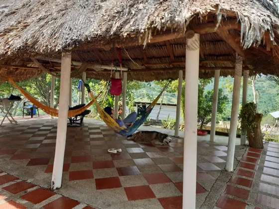 Finca De 25 Hec A 15 Minutos De Luruaco