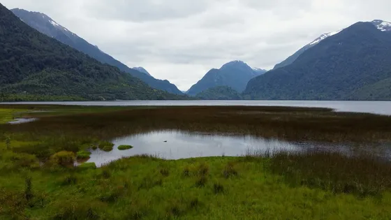 Campo En Laguna Los Palos De 391 Hectáreas  Puerto Aysén 