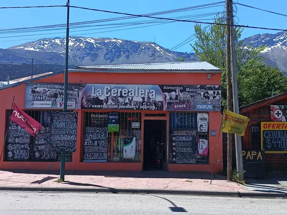  Local Céntrico El Bolsón