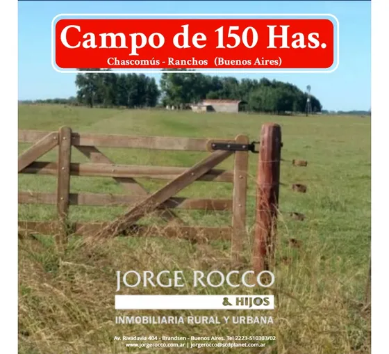 Campo En Venta En Chascomus - Ranchos. 150 Has. Ganaderas 