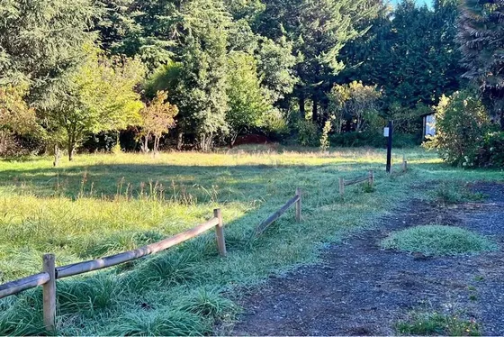 Terreno En Los Ángeles: Inversión Única En Biobío