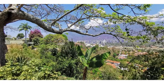Vendo Casa 3.000m2 Lomas Mirador 8895