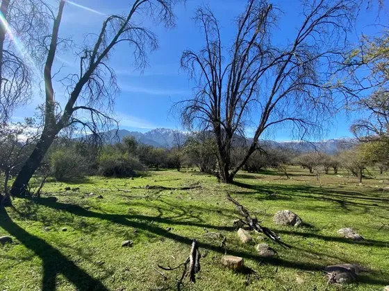 Terreno De 4 Hectareas En Pirque