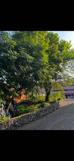 Terreno Residencial Sur Cdmx