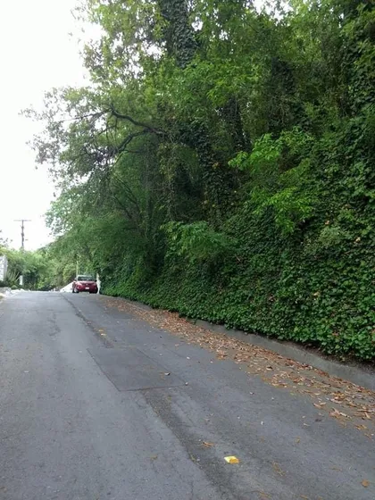 Terreno En Venta Olinala