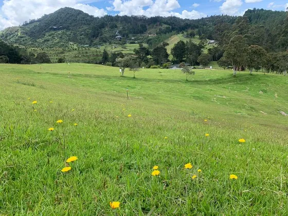 Lote En Venta Ubicado En El Retiro Sector Pantanillo (25236).