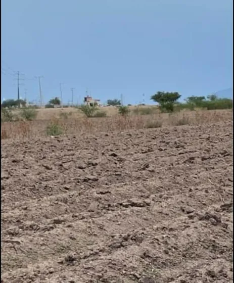 1500 Hectáreas En Venta Irapuato
