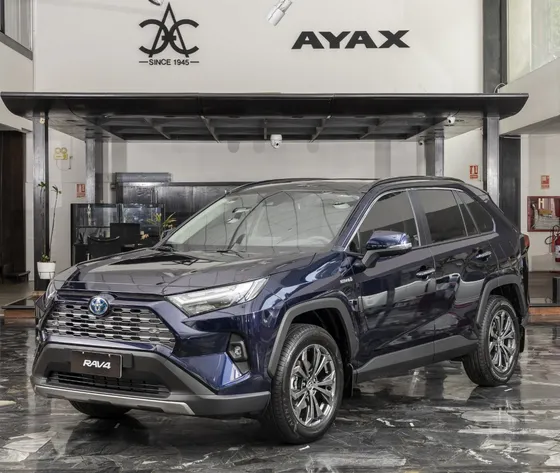 Toyota Rav4 Limited Plus 4x2