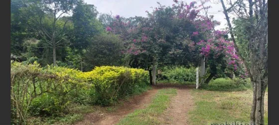 Sítio Com 1,5 Alqueires Rico Em Água À Venda Em Cambuí Mg