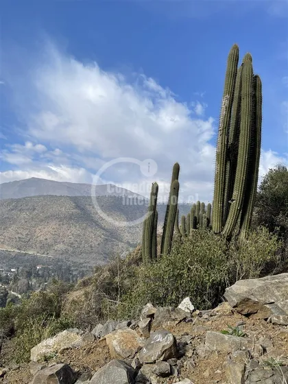 Sitio Para Subdivisión En Venta En Lo Barnechea