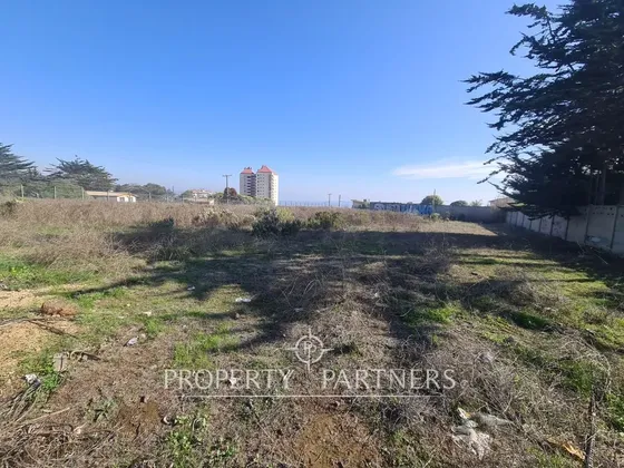 Algarrobo, Lote De 6 Sitios, Ideal Para Construcci...