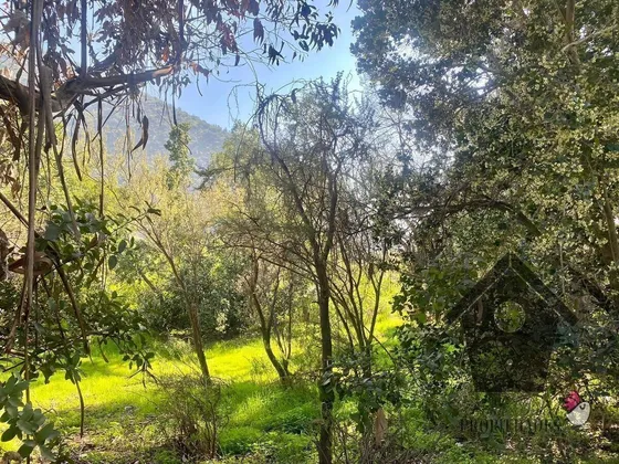 Lo Castro, Quebrada De Alvarado, Olmue. 5.000m2