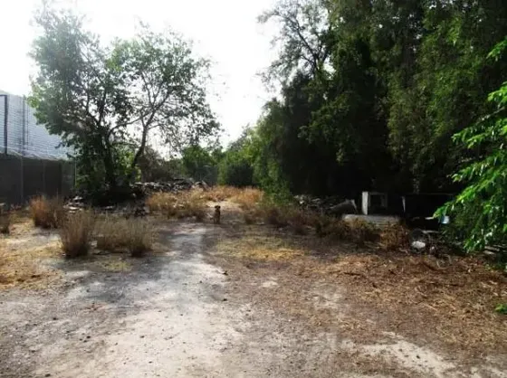 Sitio Venta Santiago. Gran Avenida. El Bosque