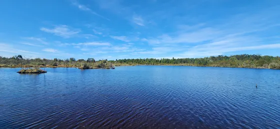 Exclusivos Terrenos 5000 M2 Laguna Quemchi - Los Lagos