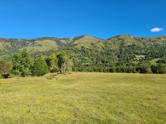 Parcela 5000m2 Con Acceso A Río. Valle De Panqui, Pucón