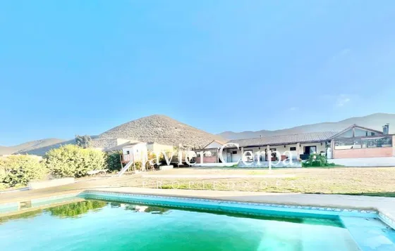 Algarrobito