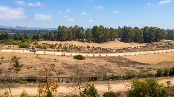 Sitio En Venta Con Condominio 