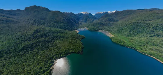 Macrolotes En Laguna San Rafael Al Sur De Puerto Chacabuco