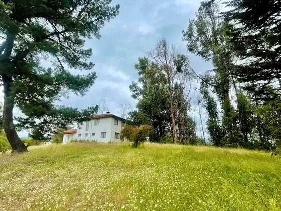 Parcela 6200 M2 Regularizada Y En Condominio - Valle Alegre!