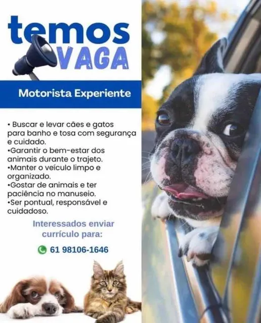 Vaga De Emprego