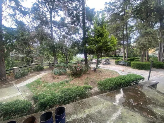 Terreno En Venta En Lomas De Chapultepec