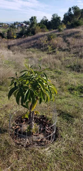 Terreno A Minutos De Laja