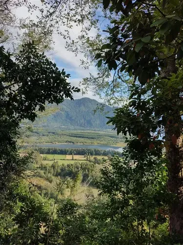 Parcela En Venta En Lago Ranco Calidad Indigena