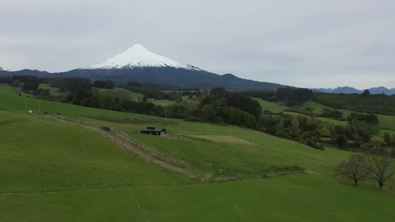 Se Vende Parcela Con Vista A Volcan Y Lago En Puerto Fonck