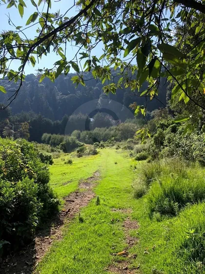 Terreno Residencial En Venta En Los Laureles