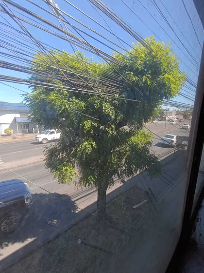 Terreno Con Casa Ideal Para Comercio (81711)