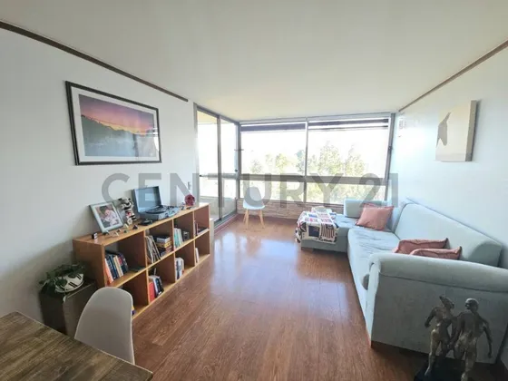 Venta Depto 2d 2b 1e Lonco Parque
