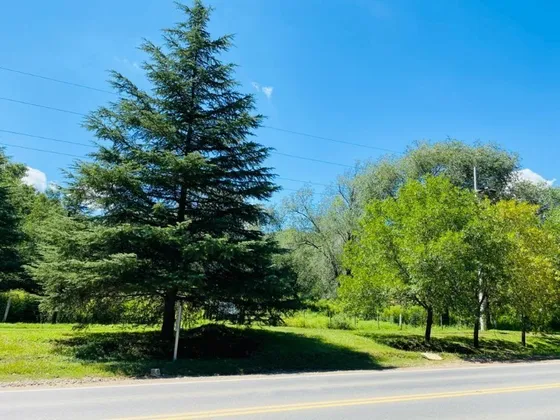 Venta De 2 Hectáreas 5844 M2 Villa General Belgrano - Tlc0573