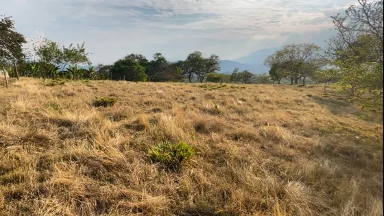 Lote En Aires Del Timba