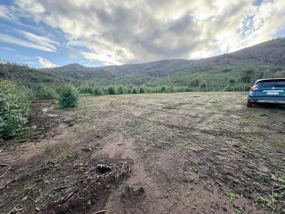 En Las Faldas Del Cayumanque, En Quillón Bosque Nativo