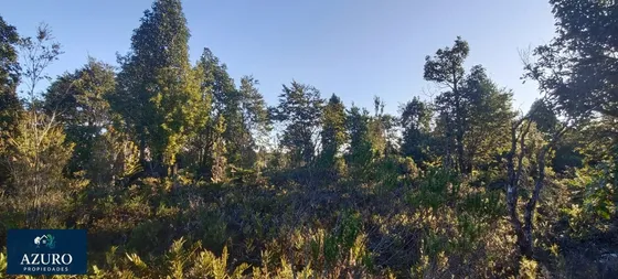 Parcela Plana, Lista Para Edificar Con Bosque Nativo Y Excel
