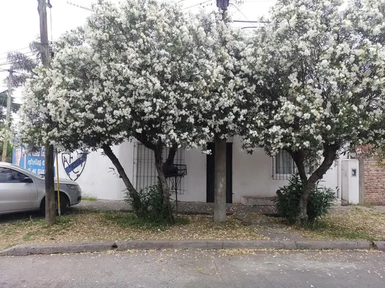 Ph Al Frente Amplio Y Cómodo Padua Sur 2 Ambientes Con Patio