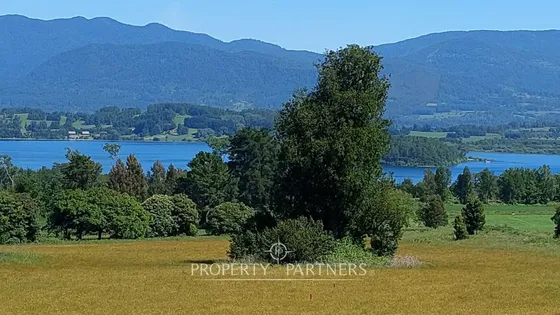 Terrenos Con Gran Vista Al Lago Panguipulli