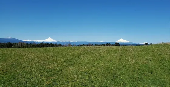 Agrícola En Venta En Río Bueno