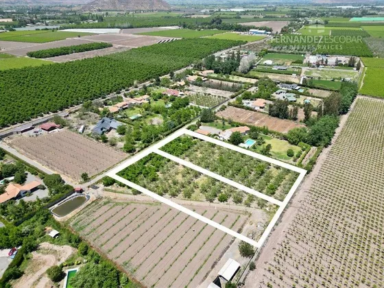 San Felipe - Vende Terrenos De 5.000m2 - Tocornal